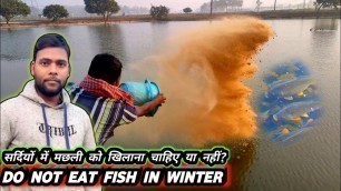 'How do fish survive without food | Do fish eat food in winter | how to care fish in winter season'