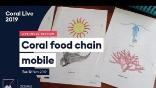 'Coral food chain mobile (AM) – Live Investigation #CoralLive 2019'