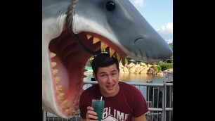 'Universal Studios Orlando Food and Beverage You Need to Try | Orlando, Florida | Theme Park Review'