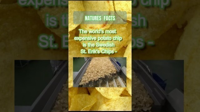 'The world\'s most expensive potato chips #shorts'