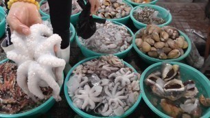 'Dead Octopus - Vietnam street food'