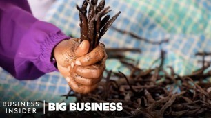 'Vanilla Is The 2nd Most Expensive Spice. So Why Do Madagascar\'s Farmers Live In Poverty?'