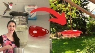 'Hummingbird Food Recipe - Making DIY Hummingbird Nectar | Home for the Harvest'