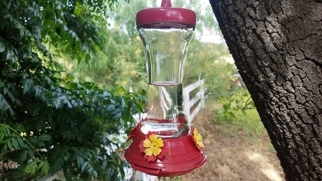 'HUMMINGBIRD FEEDER- How to disassemble for cleaning'