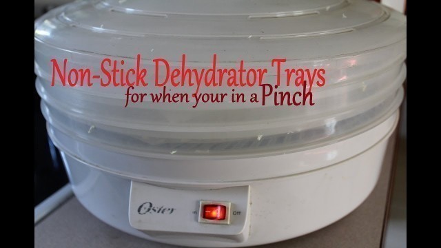 'Dehydrator Hack - NonStick Trays in a Pinch'
