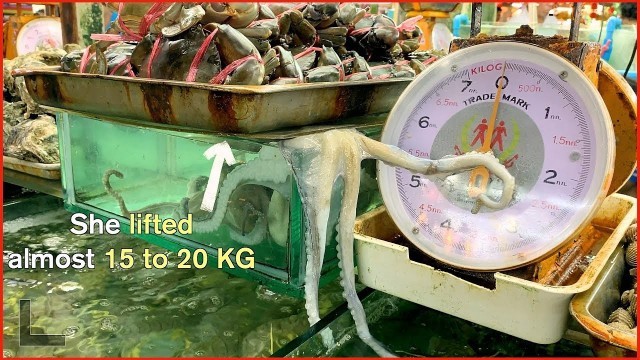 'Octopus Trying to Escape In The Seafood Market | Street food In Thailand ✔︎ (4K)'