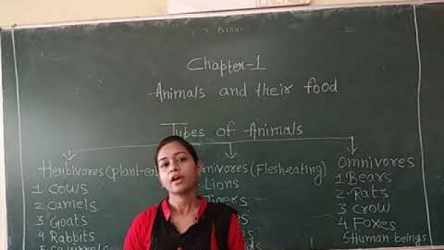 'Class - 3, G science  Topic - Animals and their food'