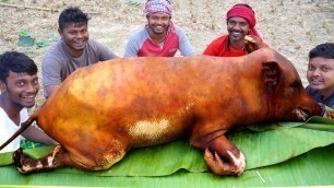 'How Clean PIG Meat and Cook by Santali Tribe People | Tribal Traditional Suar Meat Cooking Recipe'