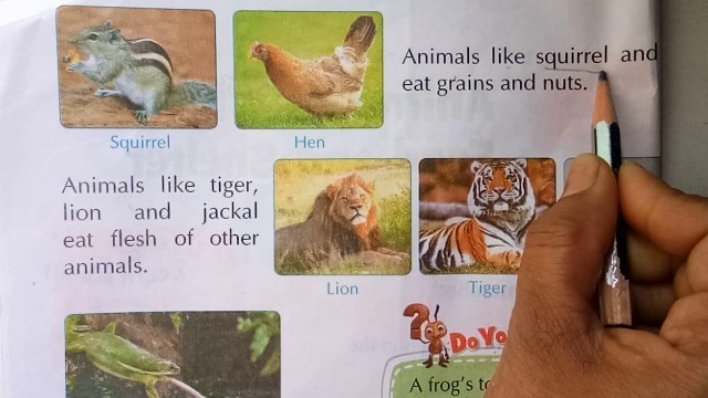 'EVS Class-1 \"Animals-Their Food and Shelter\"'