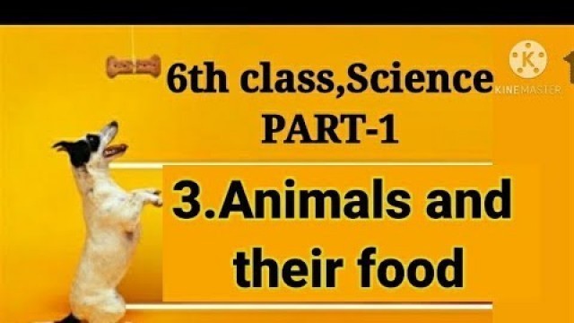 '6th class science 3rd lesson Animals & their food'