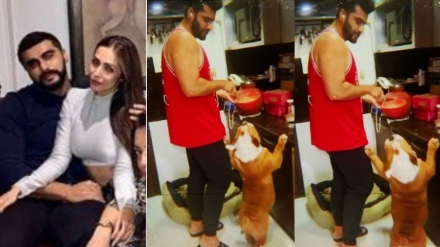 'Arjun Kapoor Dancing With His CUTE Dog While Cooking Food For Wife Malaika Arora'