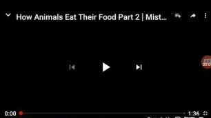 'MY REACTION TO:How Animals Eat Their Food(part 2)'
