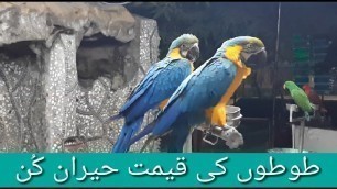'Animals and their food ||Lions Care and their treatment in National park ||National Park Pakistan'