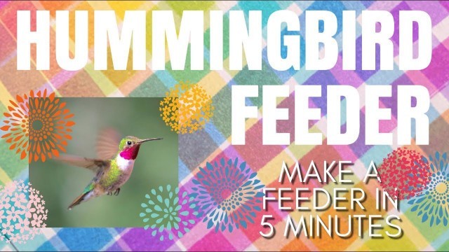 'DIY HUMMINGBIRD FEEDER in 5 Minutes - Quick & Easy Feeder - How to make with household stuff - birds'