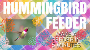 'DIY HUMMINGBIRD FEEDER in 5 Minutes - Quick & Easy Feeder - How to make with household stuff - birds'