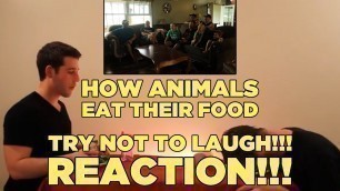 'TRY NOT TO LAUGH!!! | How Animals Eat Their Food Reaction (Part 2 & Bloopers Included)'