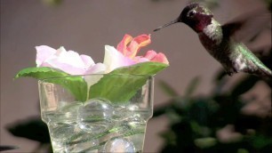 'DIY Silk-Flower Hummingbird Feeder'