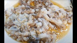 'live octopus & Webfoot octopus / Korean Food'
