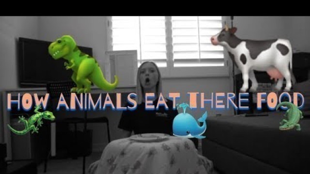 'How Animals Eat Their Food | Kinsley Sahlin'