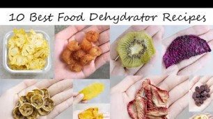 '10 Best Food Dehydrator Recipes You Will Want to Try'