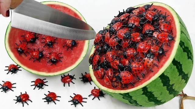 'Stop Motion Cooking Make beetle mukbang salad from watermelon ASMR Unusual Cooking Funny Videos'