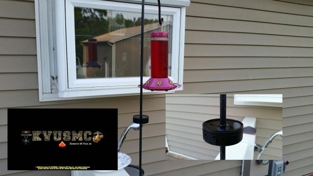 'Keeping Ants Out Of Your Hummingbird Feeder Using A Tobacco Can By KVUSMC'