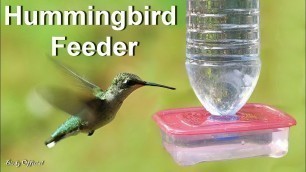 'Hummingbird Feeder - How To Make A DIY Hummingbird Feeder From Water Bottle'
