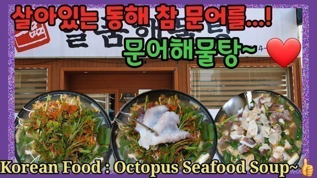 '[동해 삼척 맛집] Korean food : Octopus Seafood Soup~