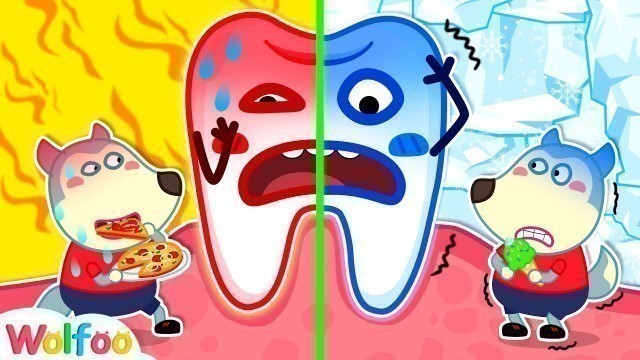 'Wolfoo, the Teeth Get Hurt! Stop Eating Hot vs Cold Food - Healthy Habits for Kids | Wolfoo Channel'