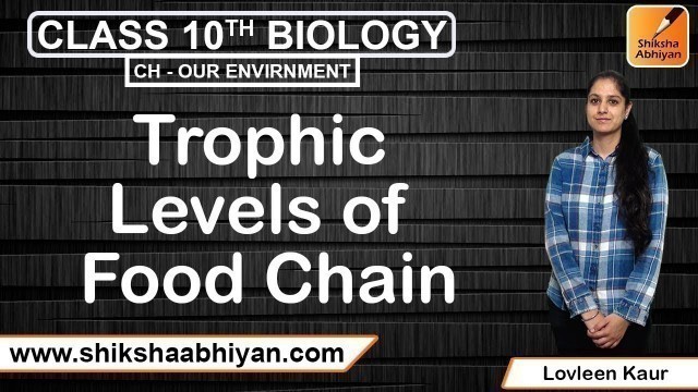 'Trophic Levels of Food Chain'