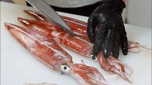 'Japanese Food - FUGU SAKE, OCTOPUS, SQUID Seafood Sushi Teruzushi Japan'