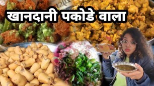 'Khandani Pakode Wala At Sarojini Nagar || variety of pakoda || Street Food Junction Vlog'