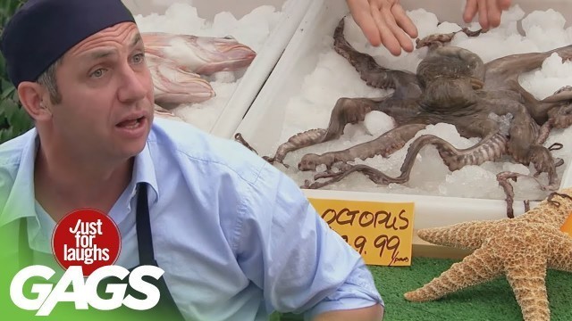 'Fingers Crushed By Food Truck, Live Octopus, Mascot Falls Down Stairs Prank!'