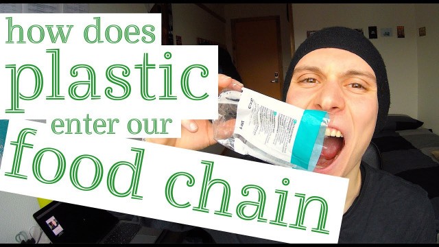 'How does PLASTIC enter our FOOD CHAIN?'