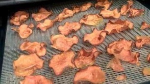 'Excalibur Dehydrator- How to Make Raw Sweet Potato Chips'