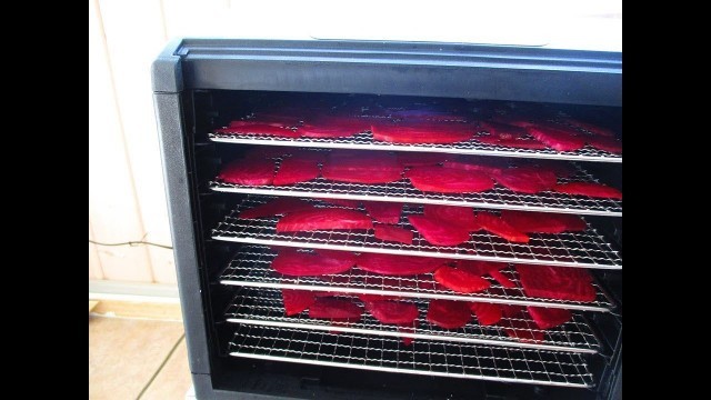 'HOMEMADE BEETROOT CHIPS USING FOOD DEHYDRATOR'