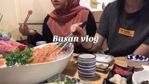 'Busan vlog | We ate live octopus 