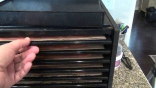 'Using a dehydrator to make strawberry fruit roll-ups (leathers)'