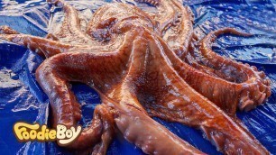'20kg 대왕문어 해체하기 / 20kg Giant Octopus - Korean Street Food / 포항 죽도시장'