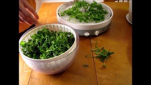 'DIY: Drying Cilantro and Parsley With a Dehydrator'