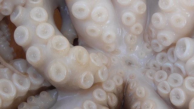 'Octopus cooked three ways - Vietnam street food'