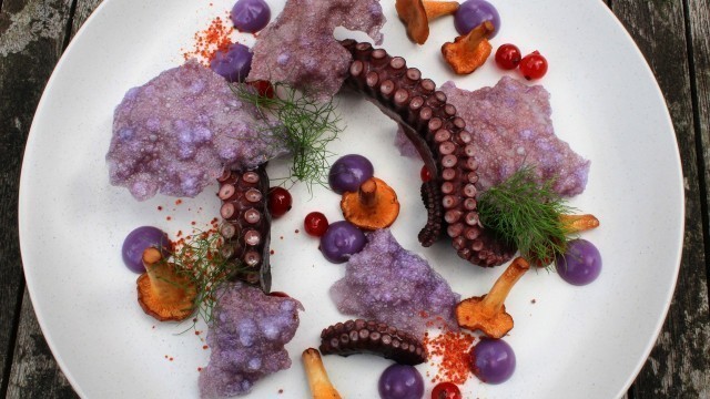 'Plating Food #21 | Octopus |'