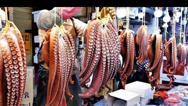 '문어 잘 삶는 법 / How to boil octopus well - Korean street food'