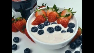 'How To Make Yogurt - Himmel Food Dehydrator V2'