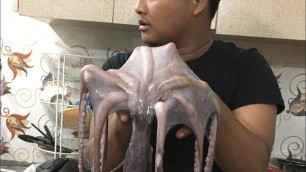 'Octopus for dinner || Best sea food market in DELHI || Vlog 116'