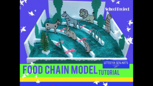 'Food Cycle Model ( School Project ) Tutorial Food Chain'