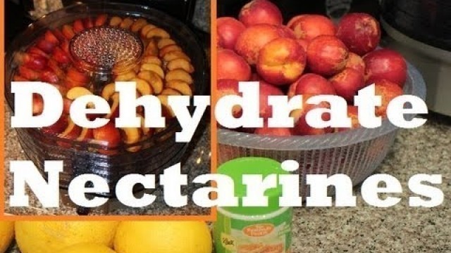 'How to make Dehydrated Dried Nectarine Fruit with Waring Pro Food Dehydrator'