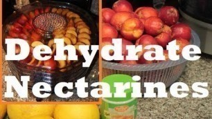 'How to make Dehydrated Dried Nectarine Fruit with Waring Pro Food Dehydrator'