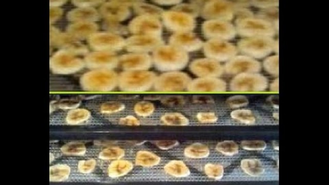 'Banana chips~ Homemade  in a food dehydrator~ not fried'