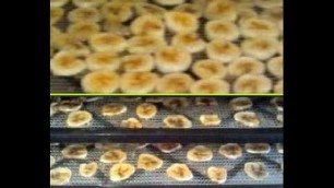 'Banana chips~ Homemade  in a food dehydrator~ not fried'